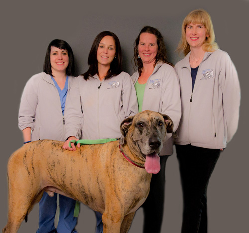 Burlington Animal Clinic staff
